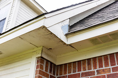 Wood Rot Repair Wood Rot Repair